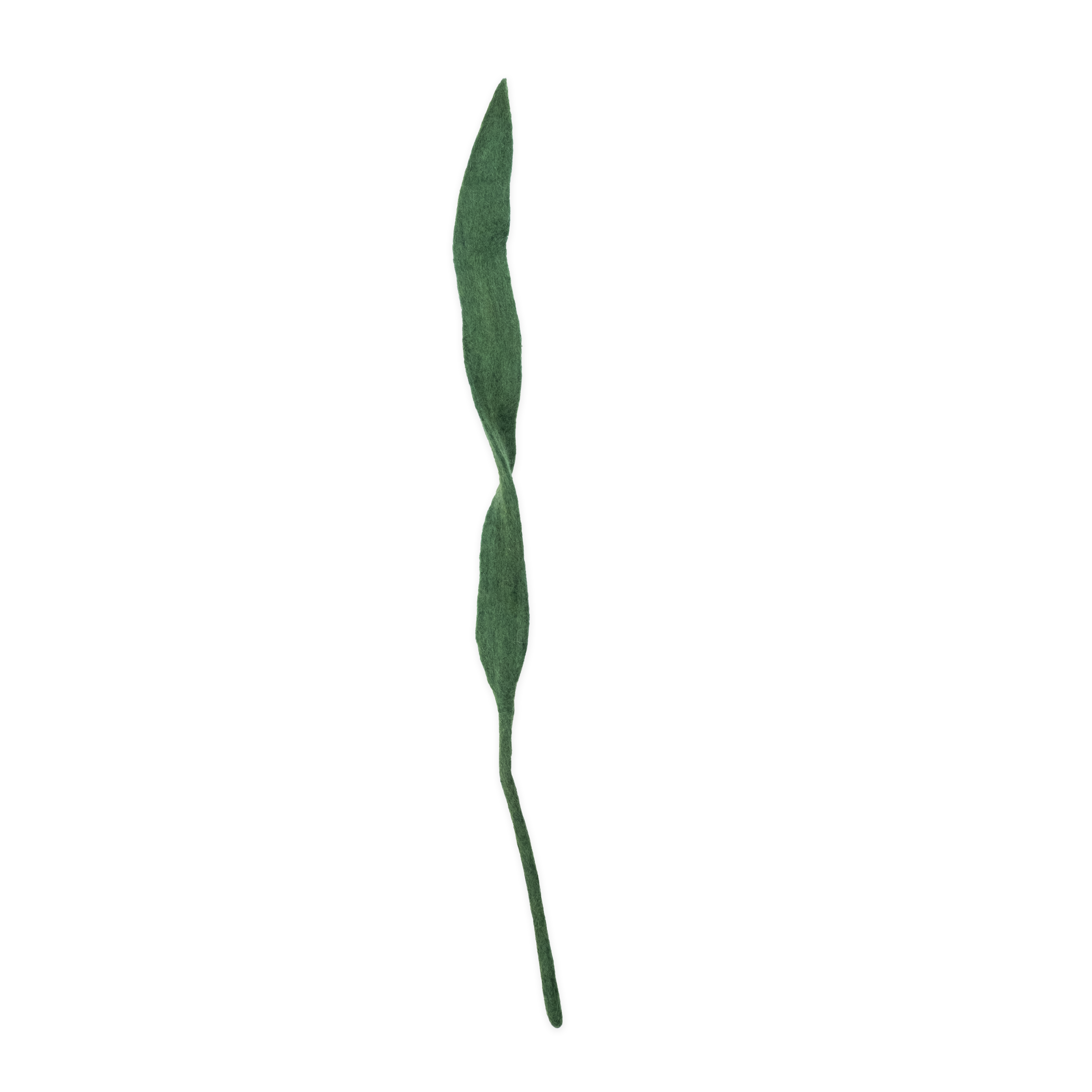 Felt Long Leaf