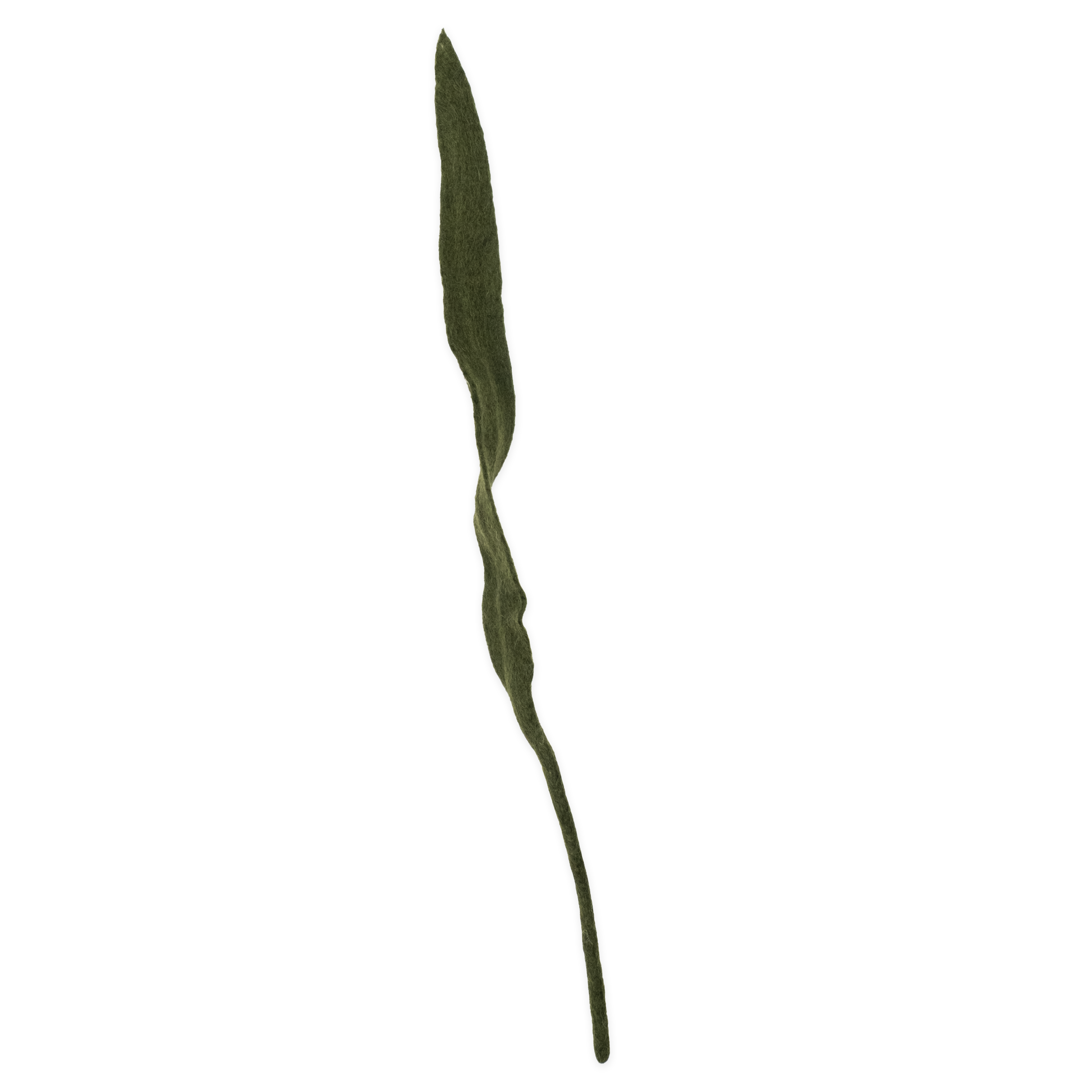 Felt Long Leaf