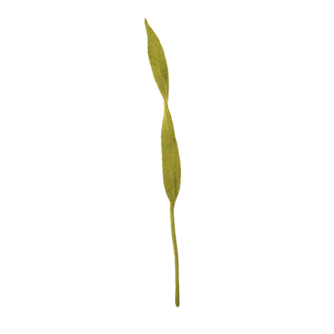 Felt Long Leaf
