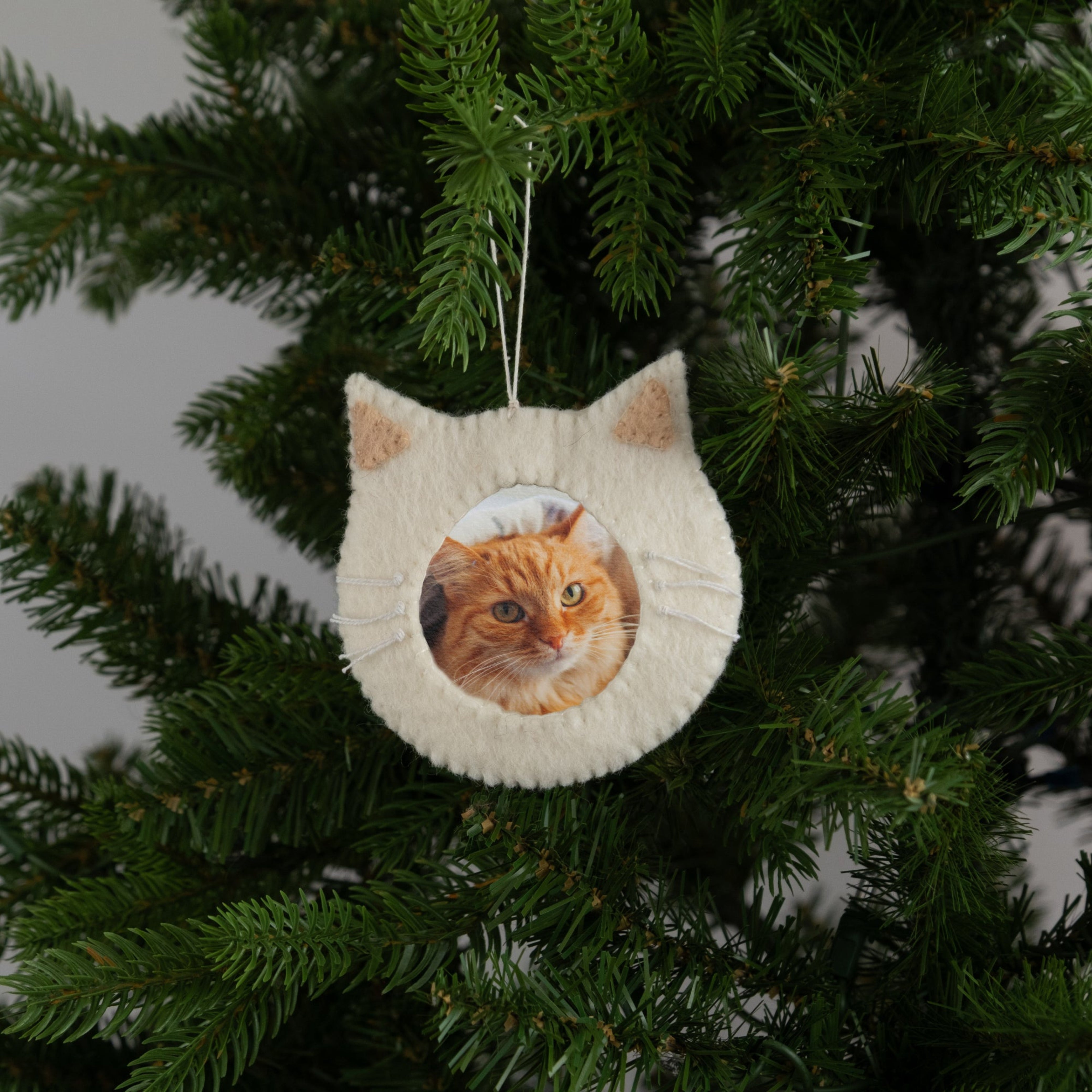 Felt Cat Frame Ornament