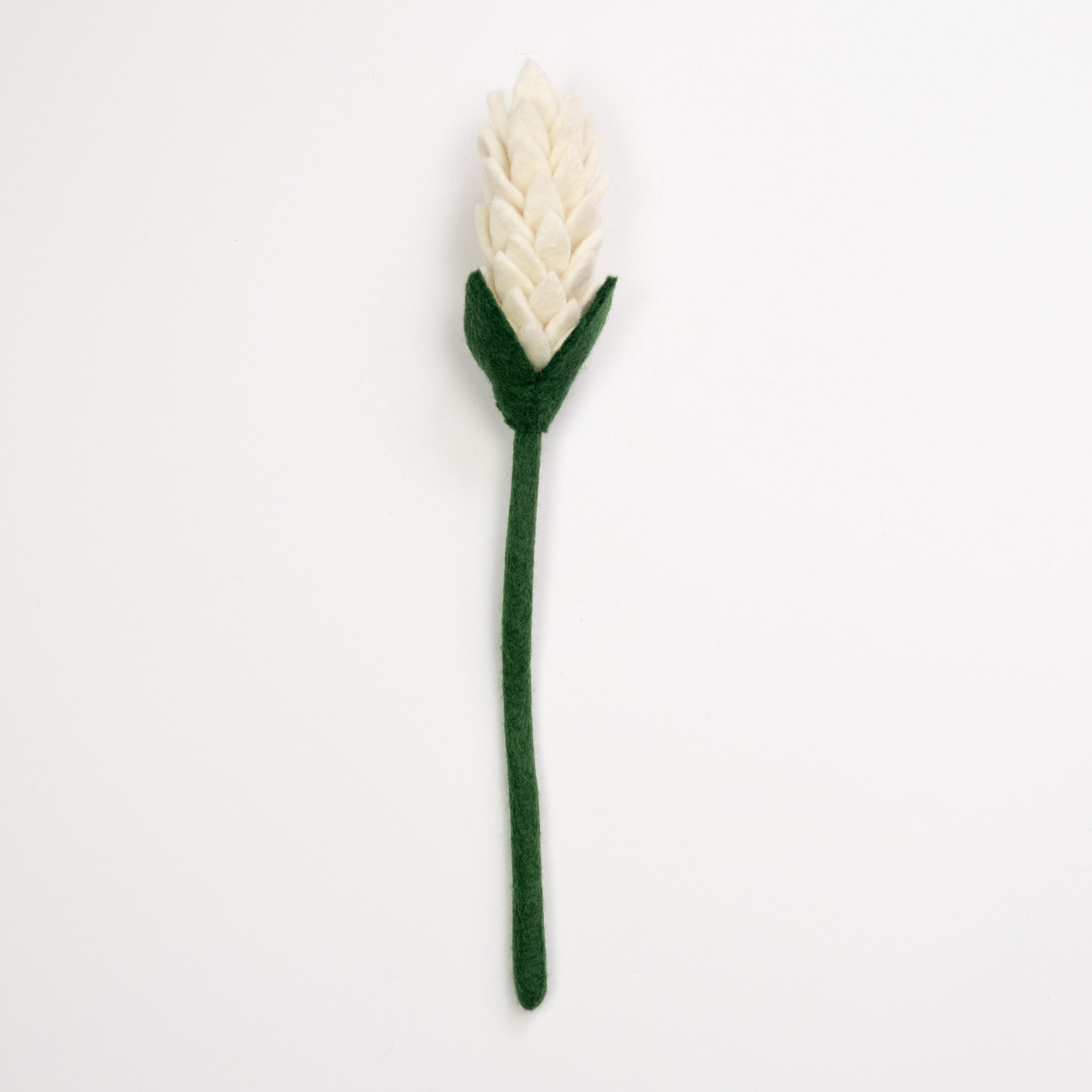 Felt Alpinia