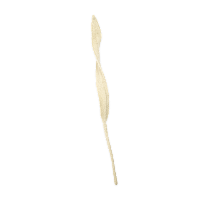 Felt Long Leaf