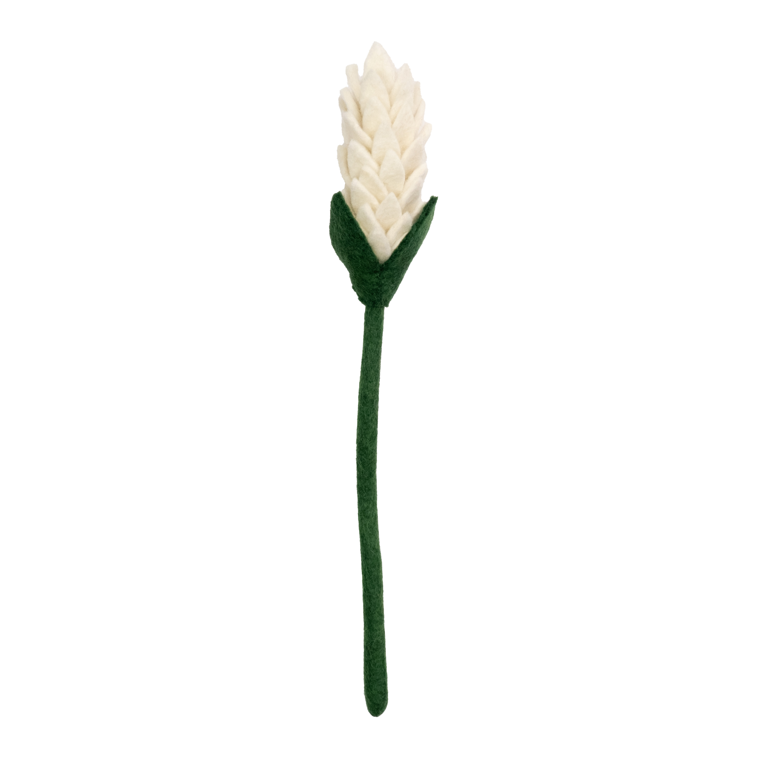 Felt Alpinia