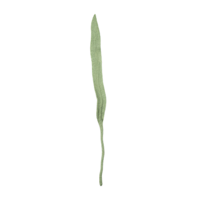 Felt Long Leaf