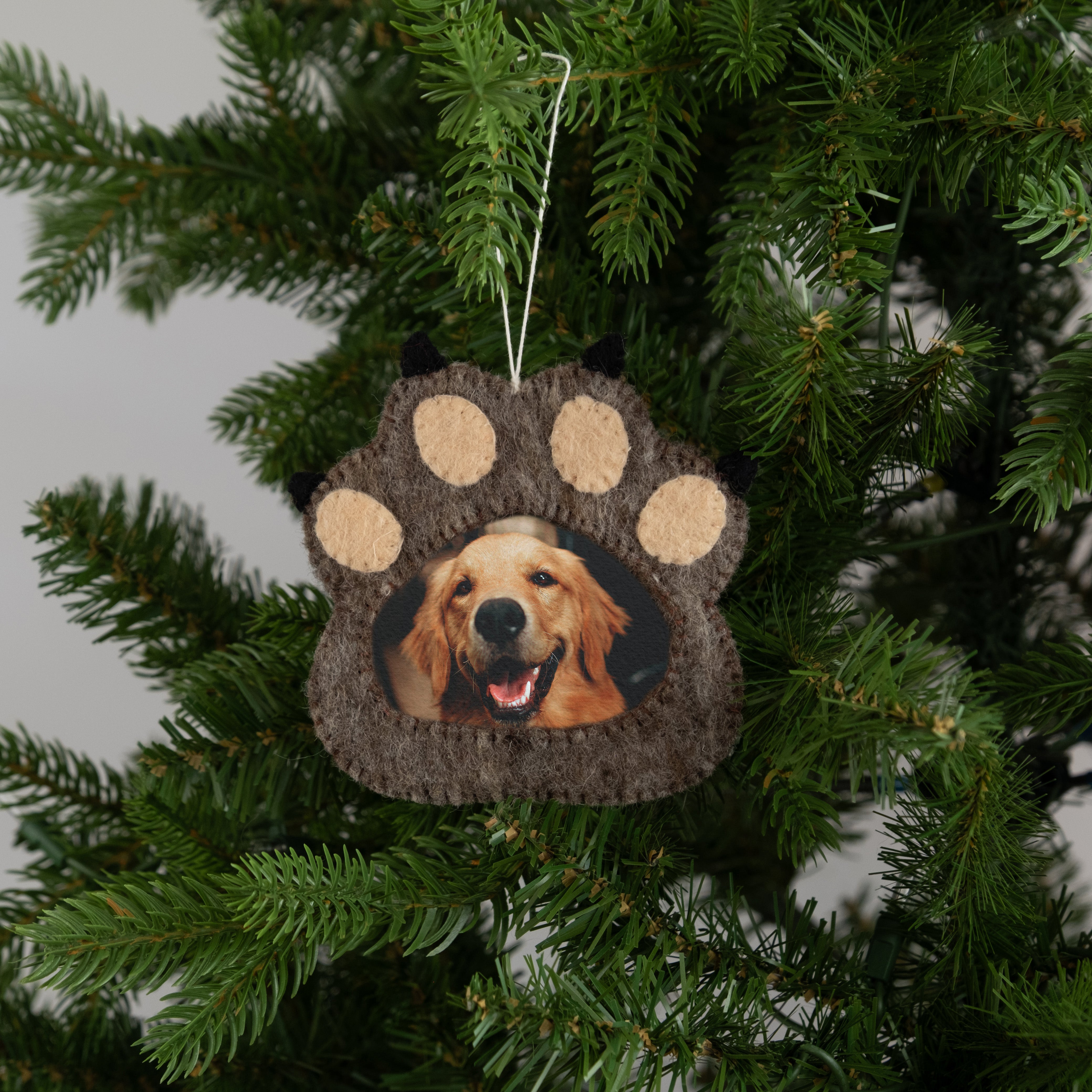 Felt Paw Frame Ornament