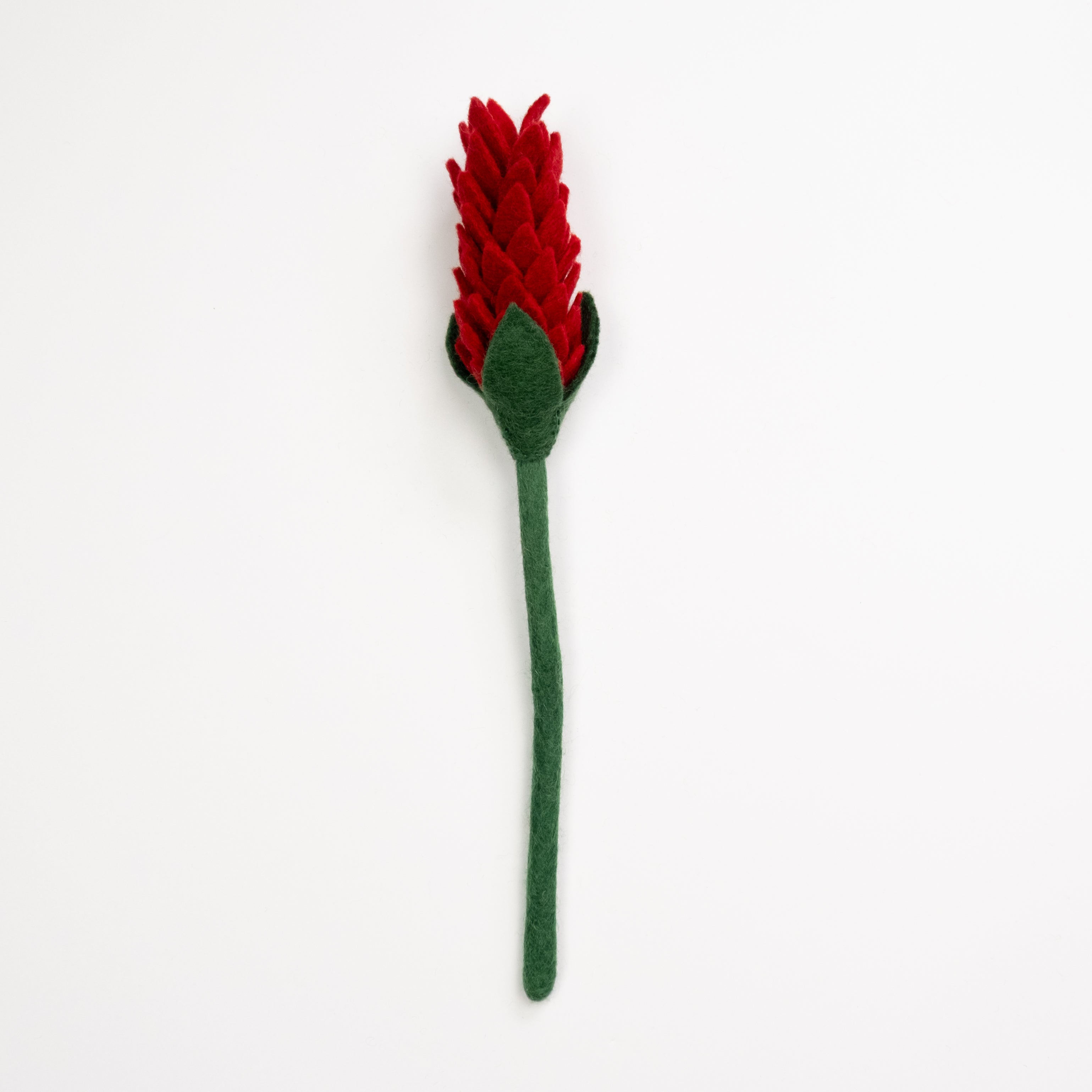 Felt Alpinia