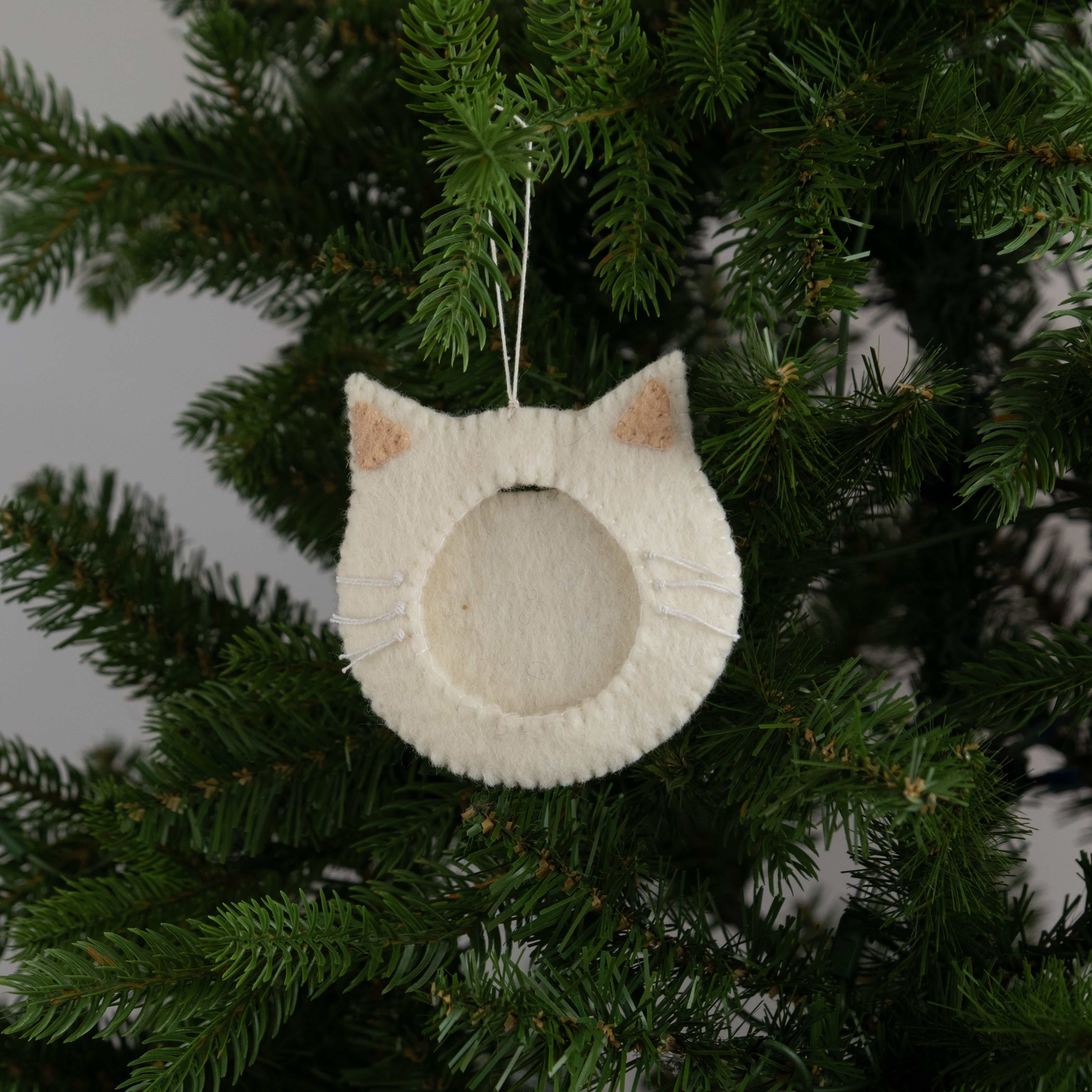 Felt Cat Frame Ornament