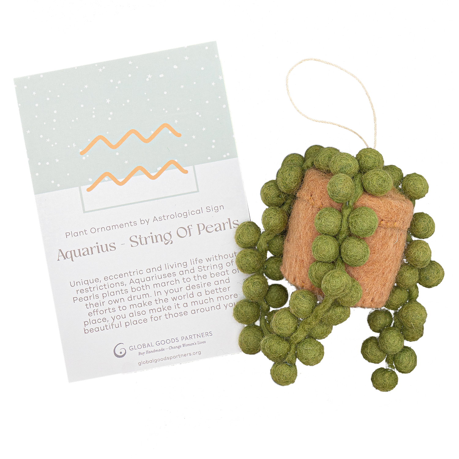 Felt String of Pearls Plant Ornament - Aquarius Astrology Signs With Card - Fair Trade - Global Goods Partners
