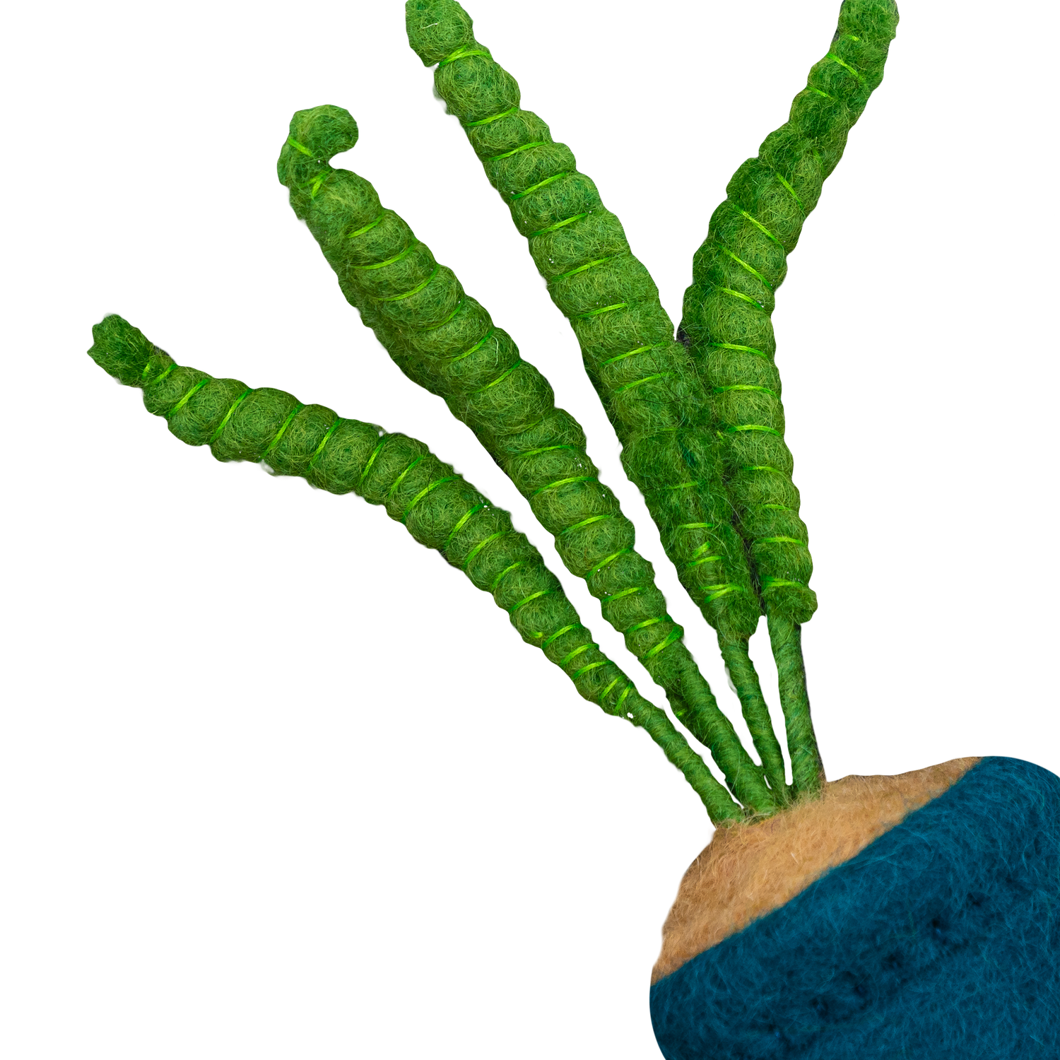 Felt aloe plant detail