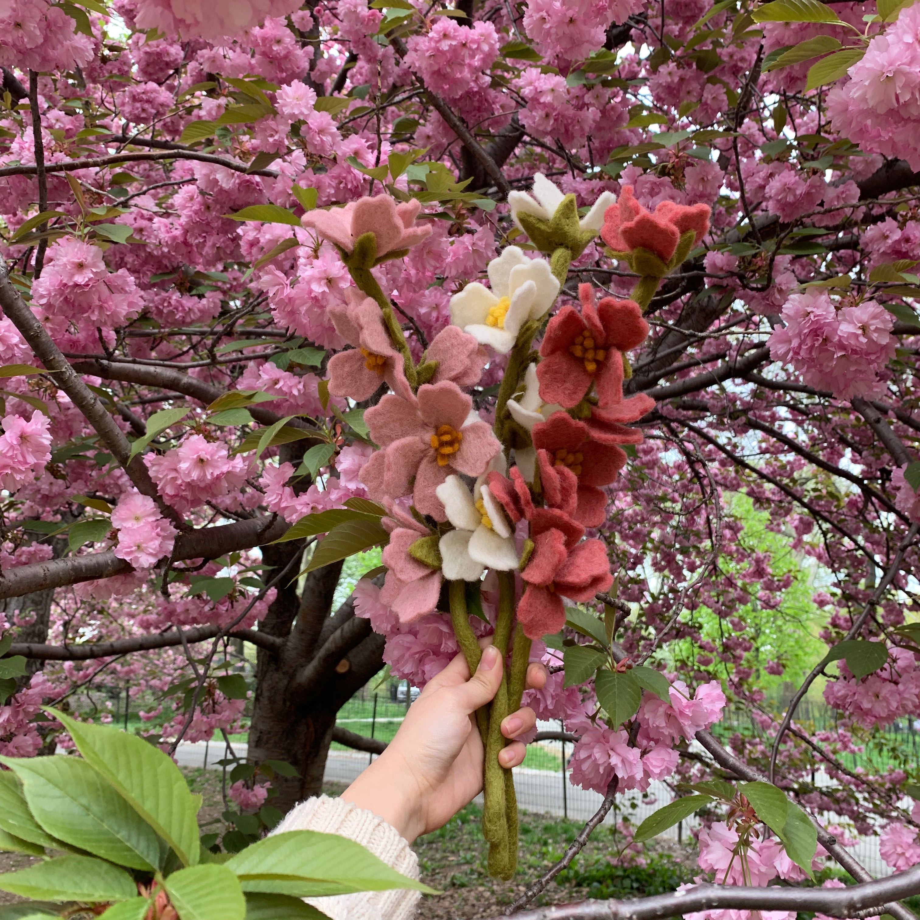 The Cherry Blossom Collection