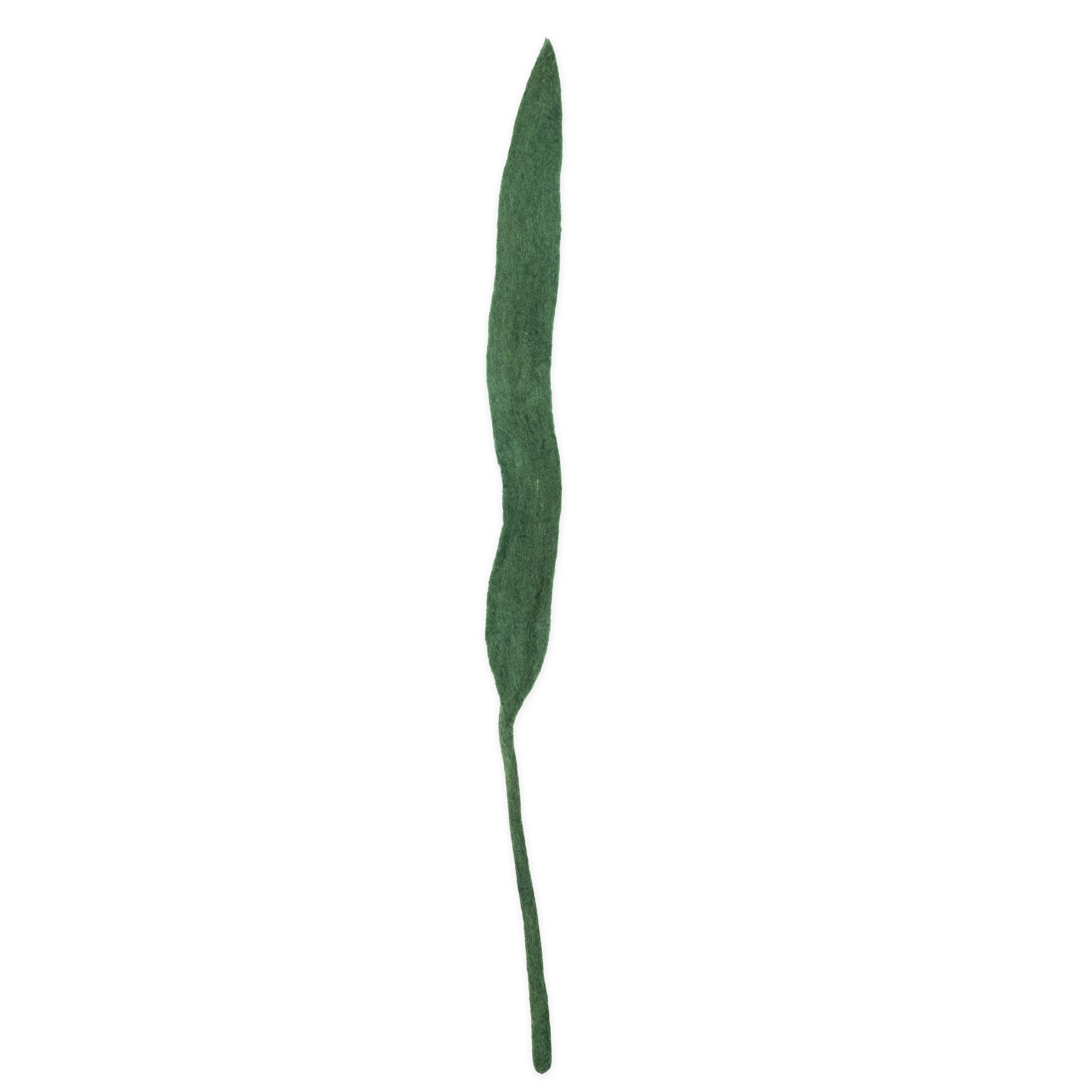 Felt Long Leaf