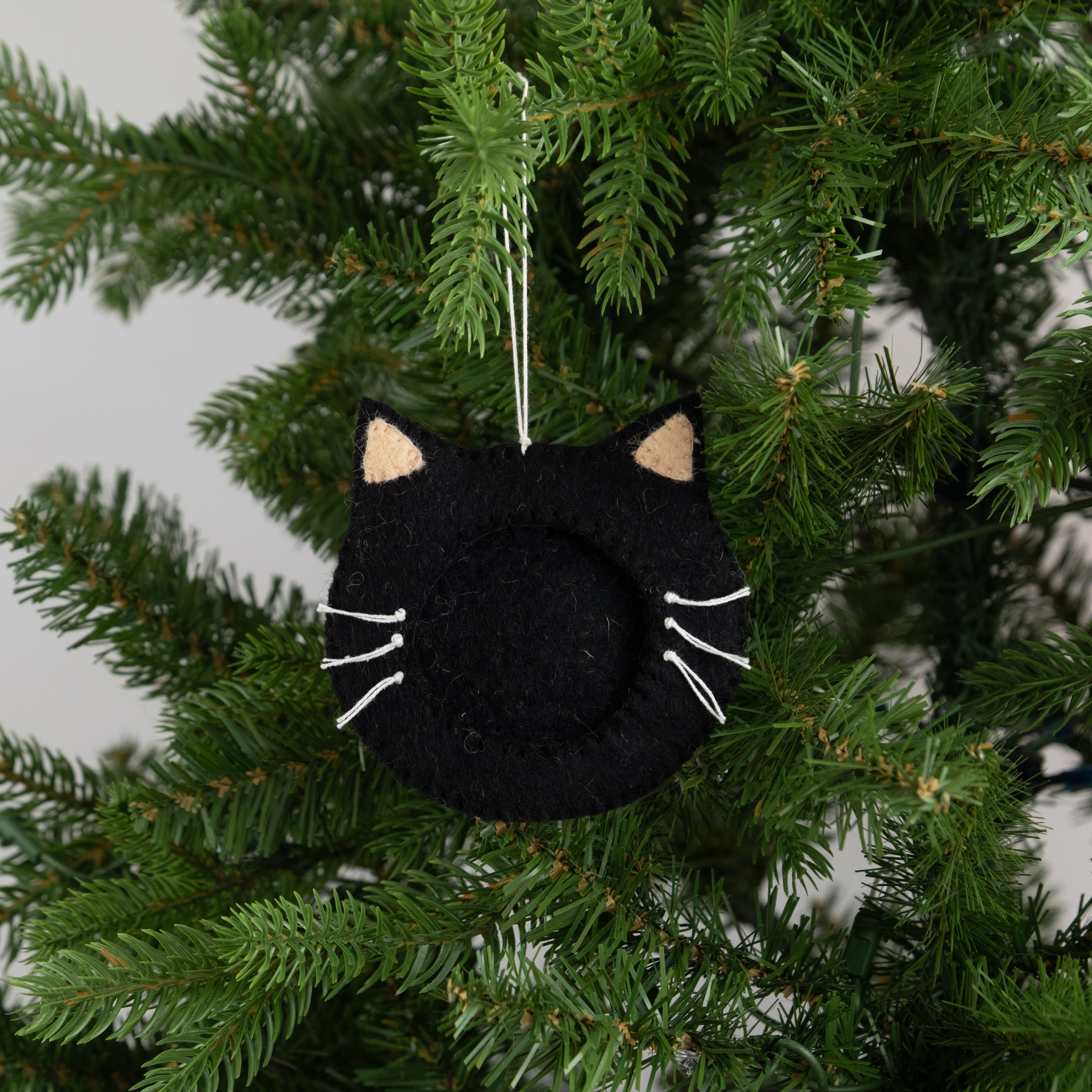 Felt Cat Frame Ornament