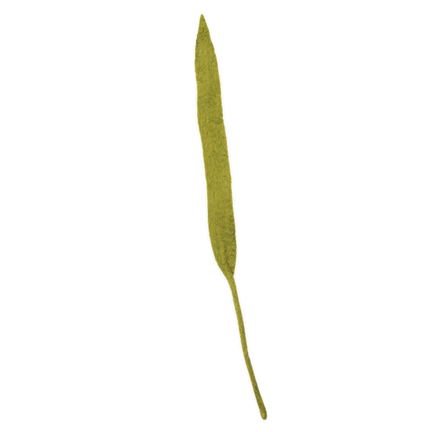 Felt Long Leaf
