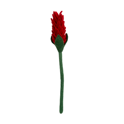 Felt Alpinia