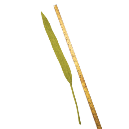Fair trade felt green leaf next to a ruler on a white background | Global Goods Partners