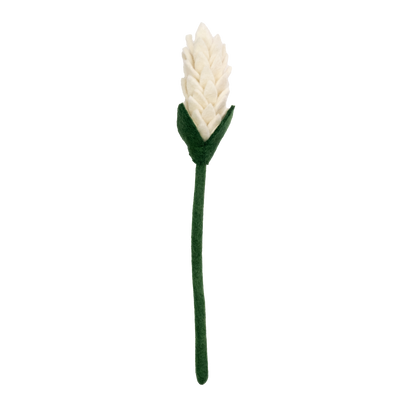 Felt Alpinia