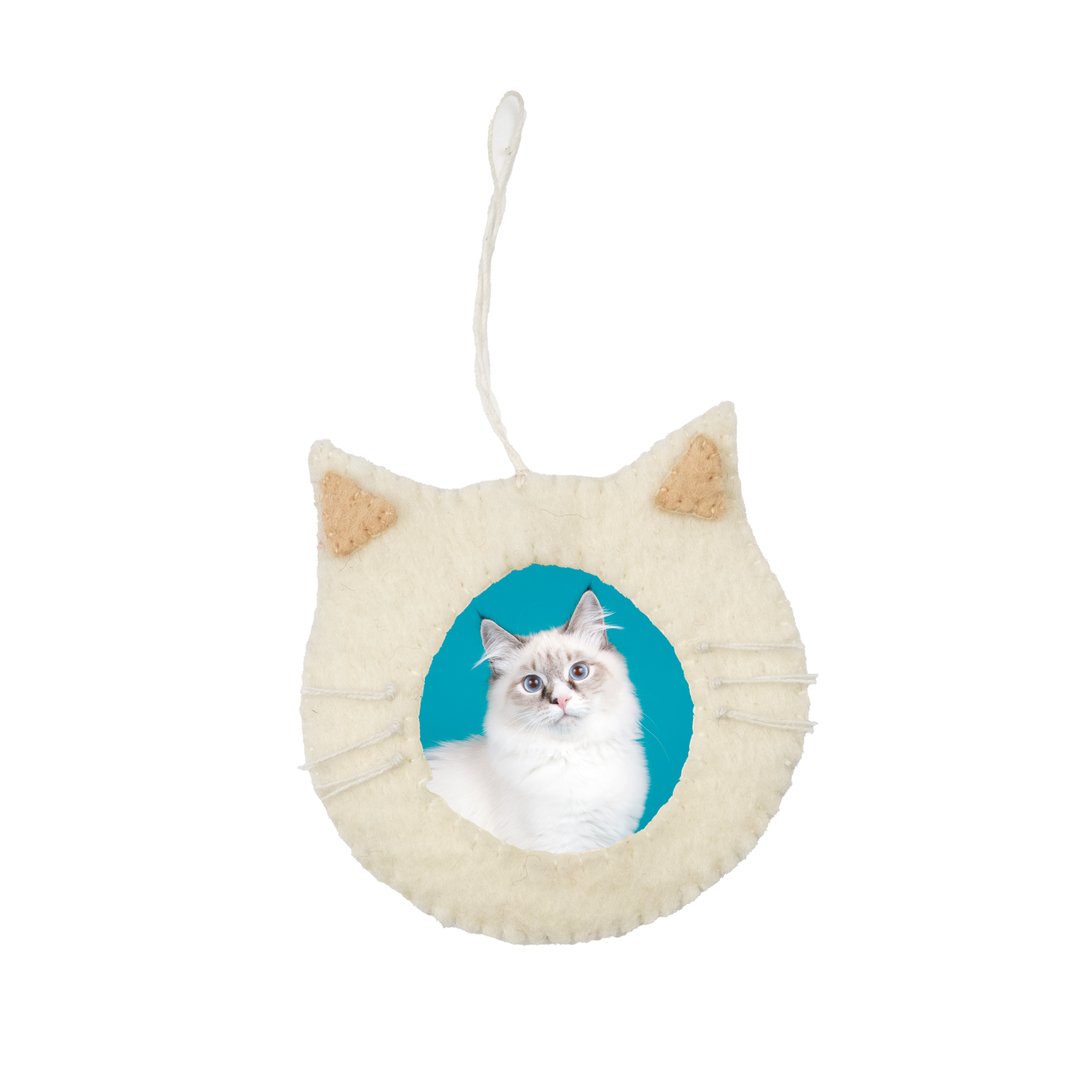 Felt Cat Frame Ornament