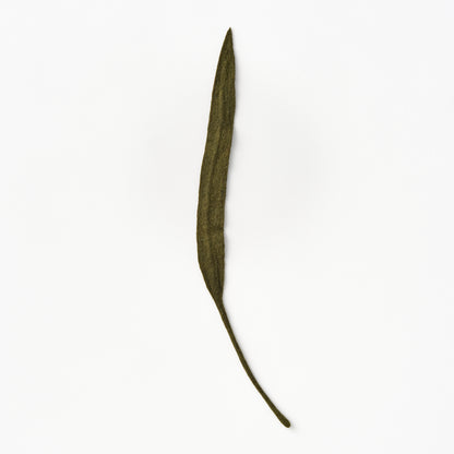 Felt Long Leaf