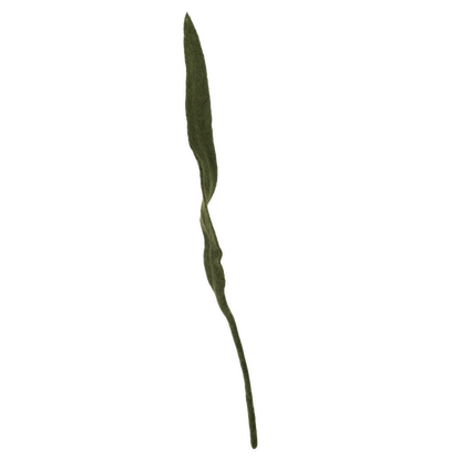 Felt Long Leaf