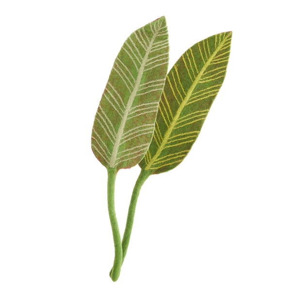 Felt Calathea Leaf