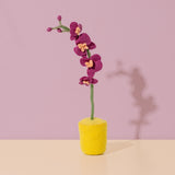 Felt Orchid Pot