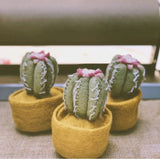 Felt Cactus Pots